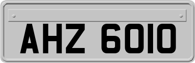 AHZ6010