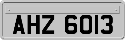 AHZ6013