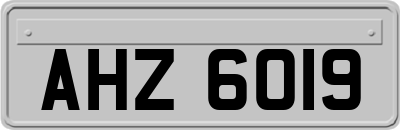AHZ6019