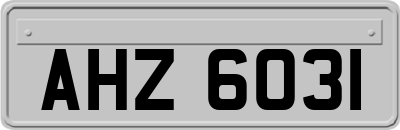 AHZ6031