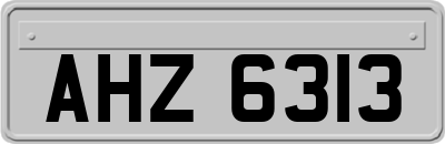 AHZ6313