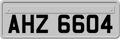 AHZ6604