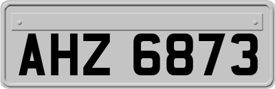 AHZ6873