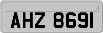 AHZ8691