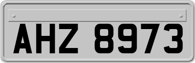 AHZ8973