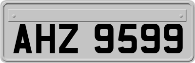 AHZ9599
