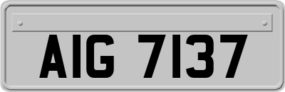 AIG7137