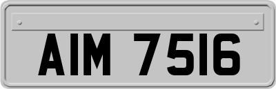 AIM7516