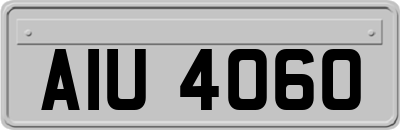 AIU4060