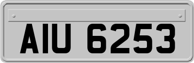 AIU6253