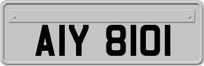 AIY8101