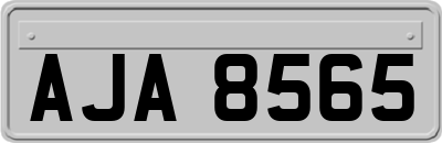 AJA8565