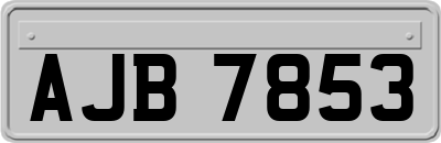 AJB7853