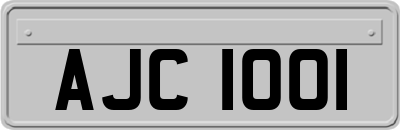 AJC1001
