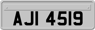AJI4519