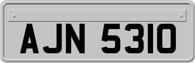 AJN5310
