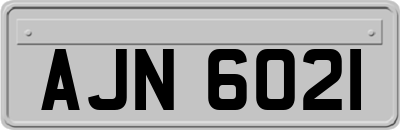 AJN6021