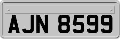 AJN8599