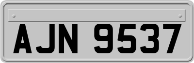 AJN9537
