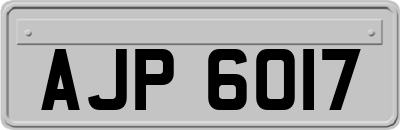 AJP6017