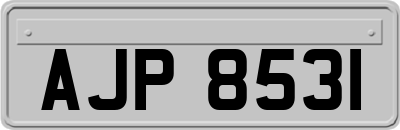 AJP8531