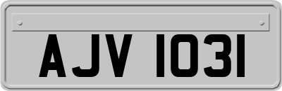 AJV1031