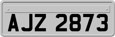 AJZ2873