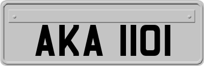 AKA1101