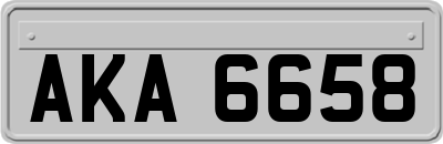 AKA6658
