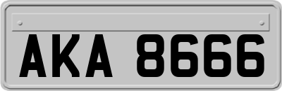 AKA8666