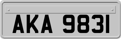 AKA9831