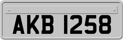 AKB1258