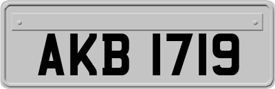 AKB1719