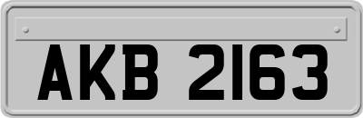 AKB2163