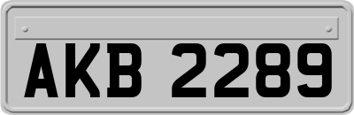 AKB2289