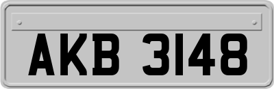 AKB3148