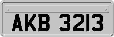 AKB3213