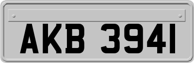 AKB3941