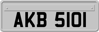 AKB5101