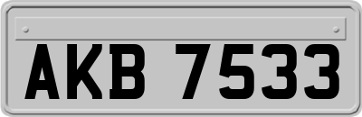 AKB7533
