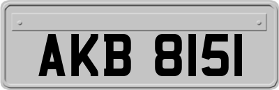 AKB8151