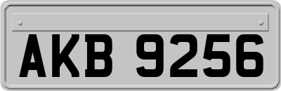 AKB9256