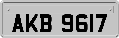 AKB9617