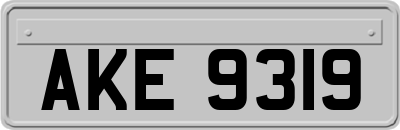 AKE9319