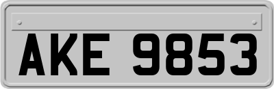 AKE9853