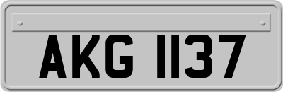 AKG1137