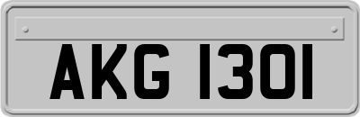 AKG1301