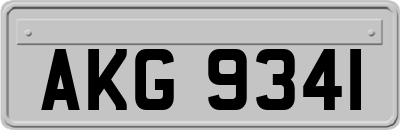 AKG9341
