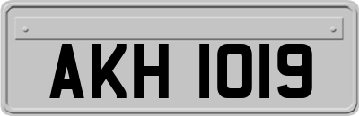 AKH1019