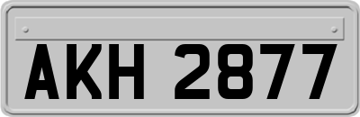 AKH2877